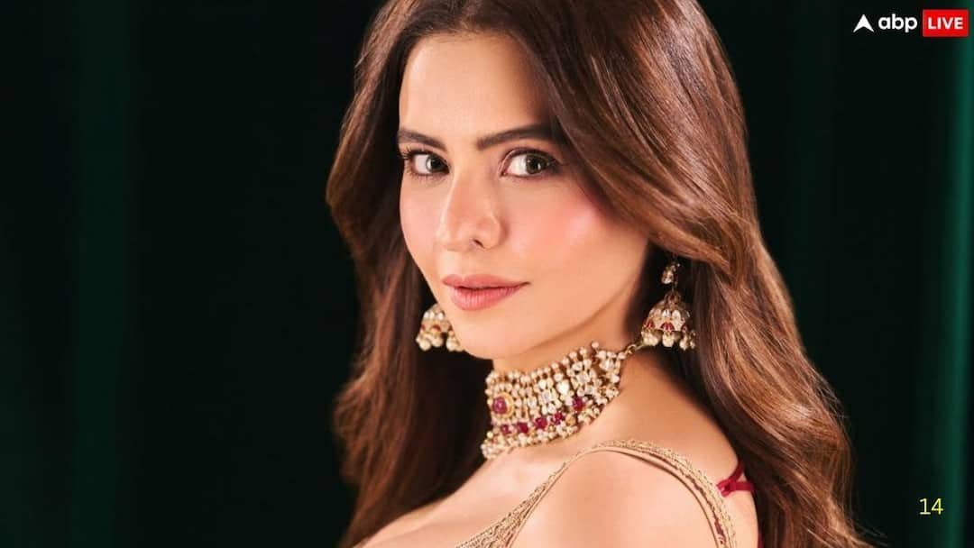 आमना शरीफ लेने वाली हैं पति संग तलाक? एक्ट्रेस बोलीं- मैं किसी के वैलिडेशन की भूखी नहीं